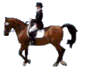 gifs animés d'équitation